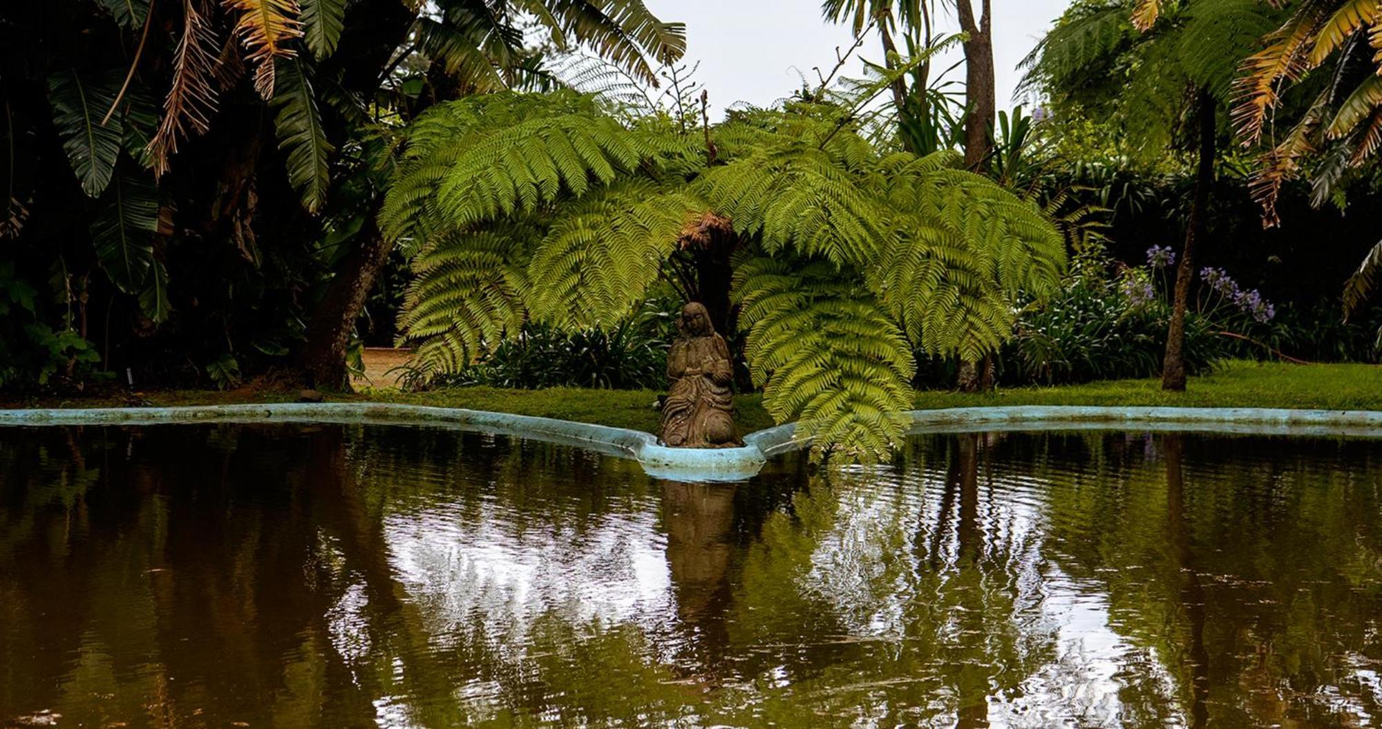 Апарт готель Quinta Da Nasce Agua Ангра-ду-Ероїшму Екстер'єр фото